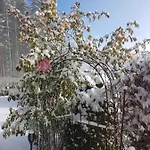Knusperhaeuschen Maria Nikoletta 度假居